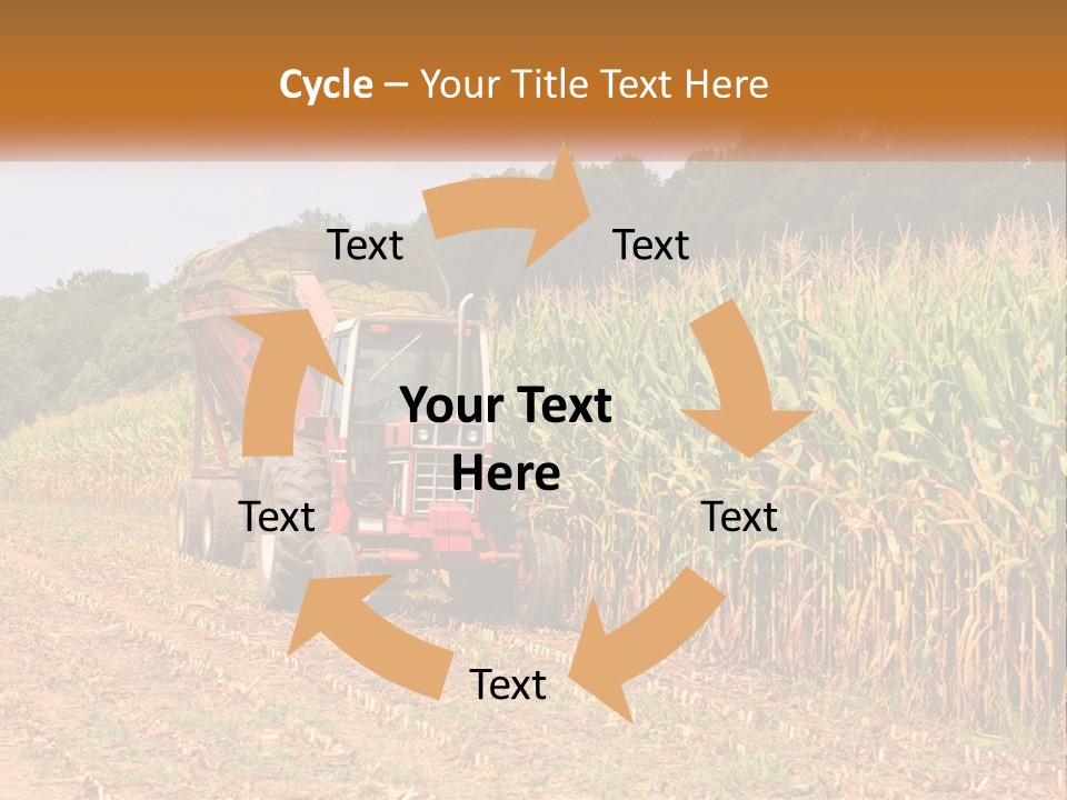 A Red Tractor Driving Down A Road Next To A Corn Field PowerPoint Template