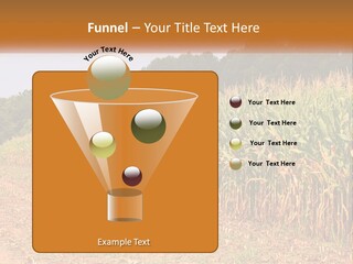 A Red Tractor Driving Down A Road Next To A Corn Field PowerPoint Template