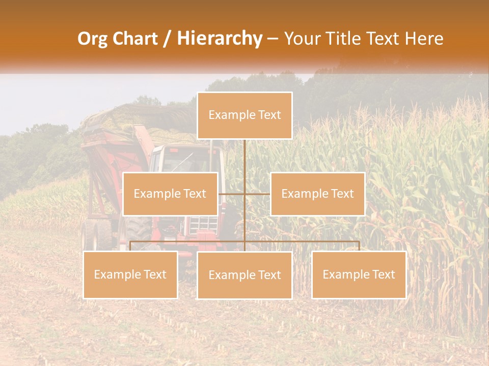 A Red Tractor Driving Down A Road Next To A Corn Field PowerPoint Template