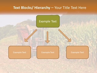 A Red Tractor Driving Down A Road Next To A Corn Field PowerPoint Template
