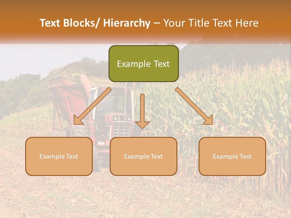 A Red Tractor Driving Down A Road Next To A Corn Field PowerPoint Template