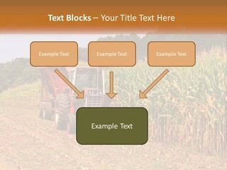 A Red Tractor Driving Down A Road Next To A Corn Field PowerPoint Template