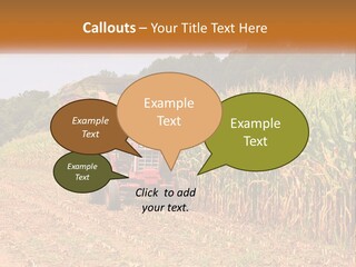 A Red Tractor Driving Down A Road Next To A Corn Field PowerPoint Template