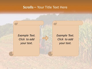 A Red Tractor Driving Down A Road Next To A Corn Field PowerPoint Template