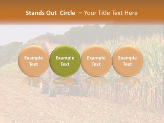 A Red Tractor Driving Down A Road Next To A Corn Field PowerPoint Template