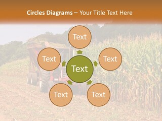 A Red Tractor Driving Down A Road Next To A Corn Field PowerPoint Template