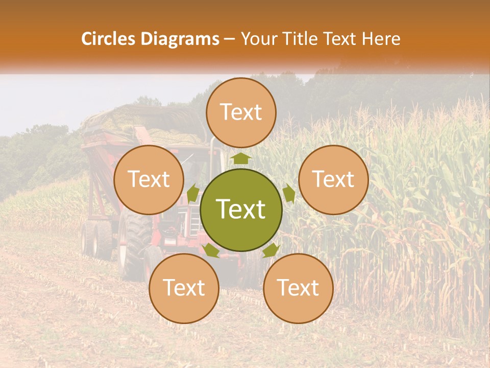 A Red Tractor Driving Down A Road Next To A Corn Field PowerPoint Template