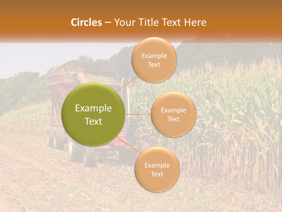 A Red Tractor Driving Down A Road Next To A Corn Field PowerPoint Template