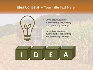 A Red Tractor Driving Down A Road Next To A Corn Field PowerPoint Template