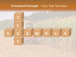 A Red Tractor Driving Down A Road Next To A Corn Field PowerPoint Template