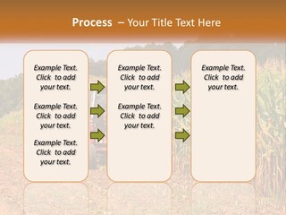 A Red Tractor Driving Down A Road Next To A Corn Field PowerPoint Template