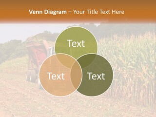 A Red Tractor Driving Down A Road Next To A Corn Field PowerPoint Template