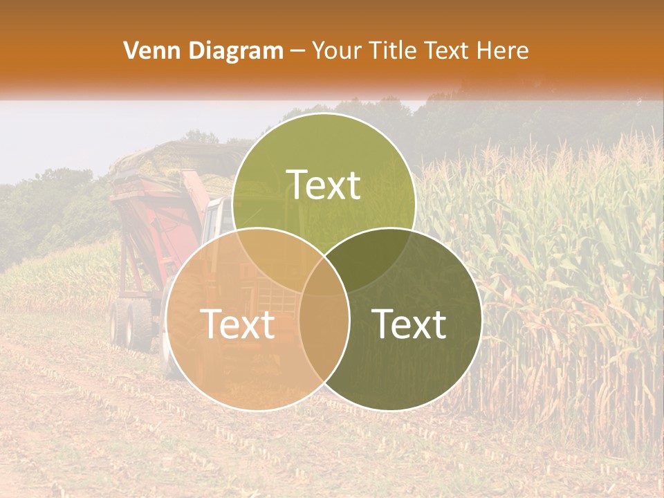 A Red Tractor Driving Down A Road Next To A Corn Field PowerPoint Template