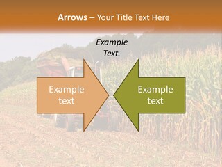 A Red Tractor Driving Down A Road Next To A Corn Field PowerPoint Template