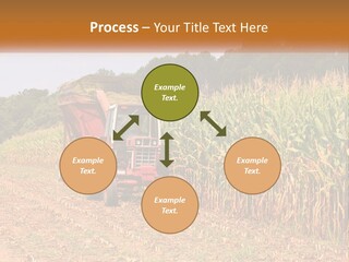 A Red Tractor Driving Down A Road Next To A Corn Field PowerPoint Template