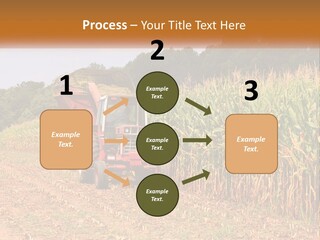 A Red Tractor Driving Down A Road Next To A Corn Field PowerPoint Template