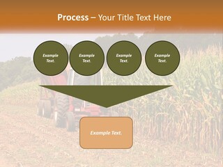 A Red Tractor Driving Down A Road Next To A Corn Field PowerPoint Template