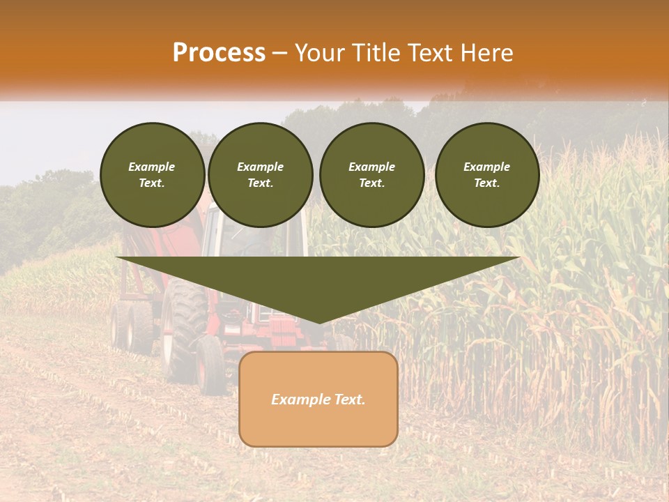 A Red Tractor Driving Down A Road Next To A Corn Field PowerPoint Template