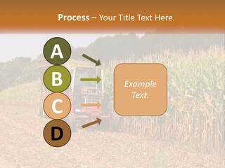 A Red Tractor Driving Down A Road Next To A Corn Field PowerPoint Template