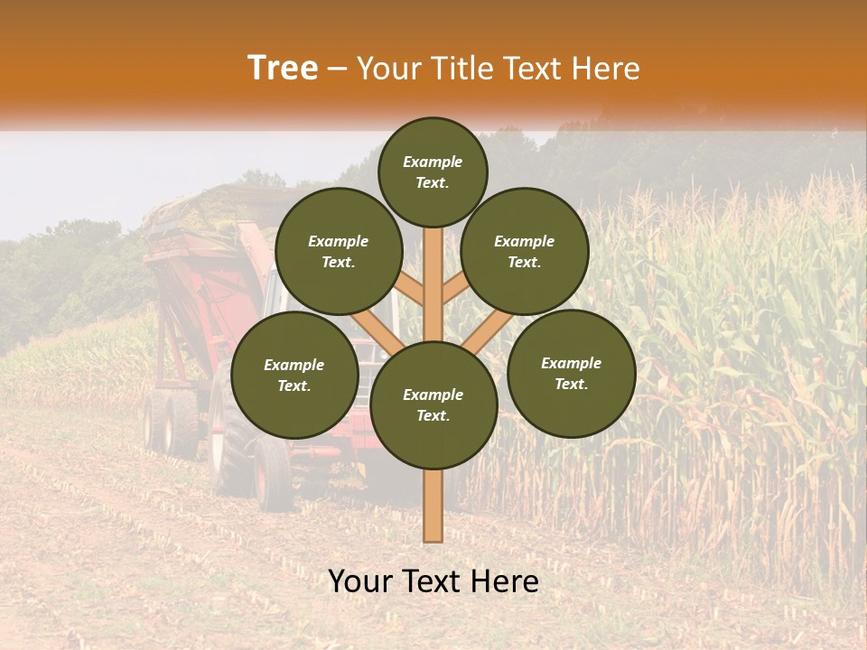 A Red Tractor Driving Down A Road Next To A Corn Field PowerPoint Template