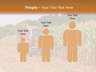 A Red Tractor Driving Down A Road Next To A Corn Field PowerPoint Template