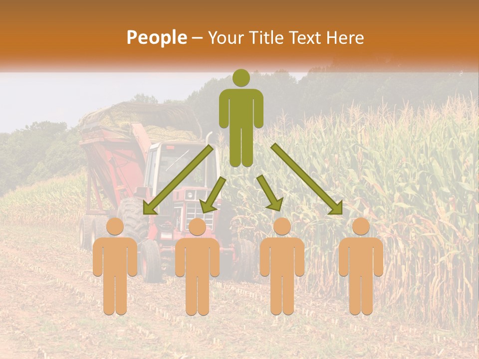 A Red Tractor Driving Down A Road Next To A Corn Field PowerPoint Template