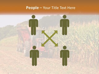 A Red Tractor Driving Down A Road Next To A Corn Field PowerPoint Template