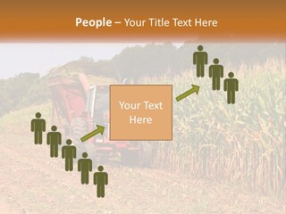 A Red Tractor Driving Down A Road Next To A Corn Field PowerPoint Template