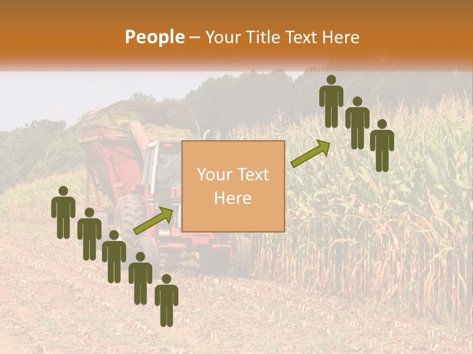 A Red Tractor Driving Down A Road Next To A Corn Field PowerPoint Template