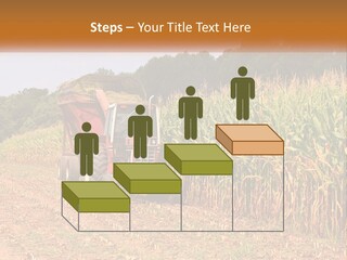 A Red Tractor Driving Down A Road Next To A Corn Field PowerPoint Template
