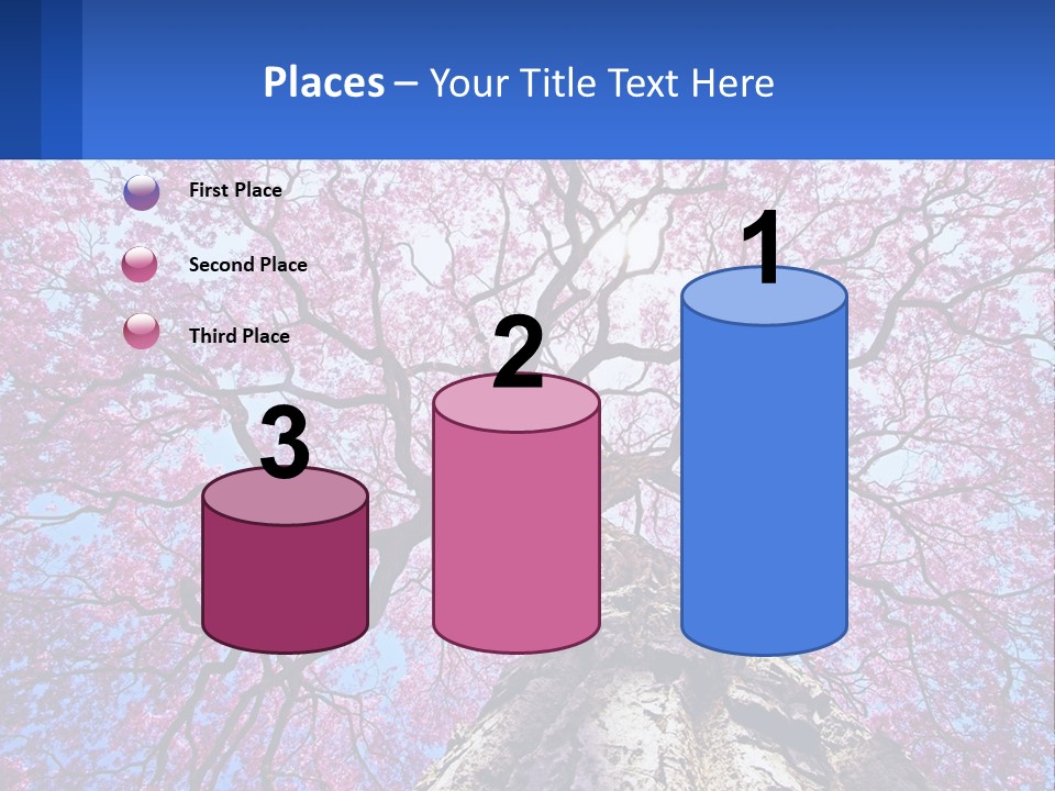 A Tree With Pink Leaves Is Shown In This Powerpoint Presentation PowerPoint Template