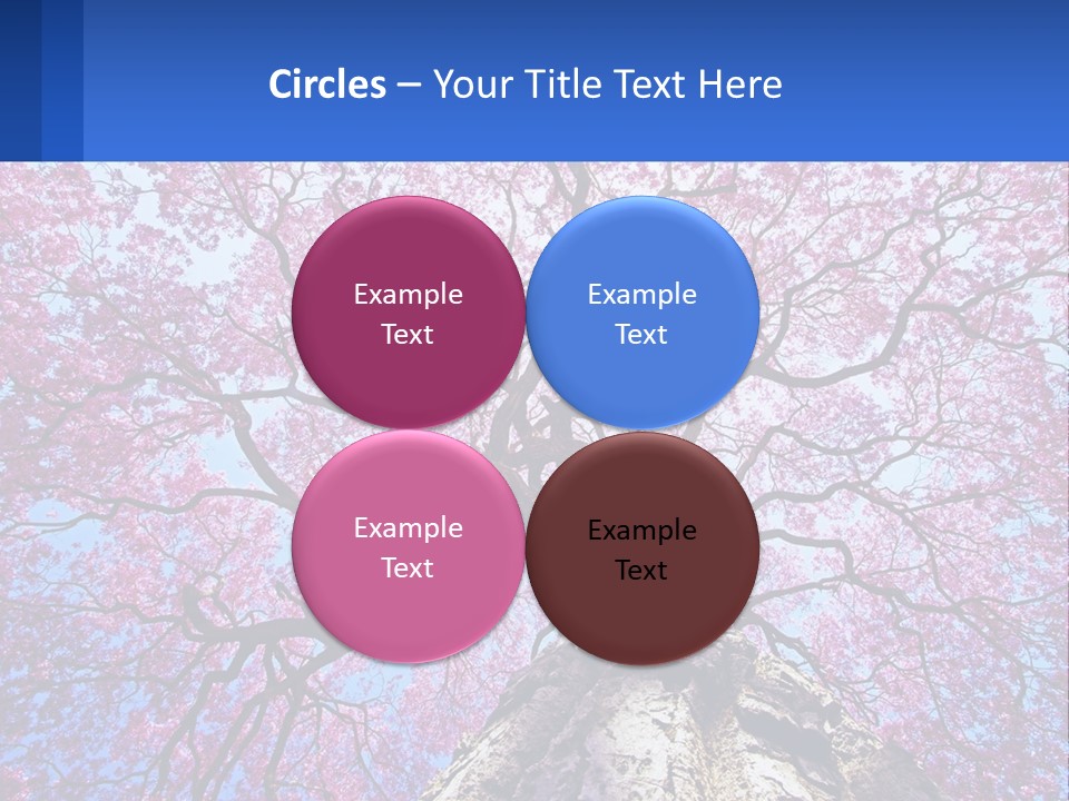 A Tree With Pink Leaves Is Shown In This Powerpoint Presentation PowerPoint Template