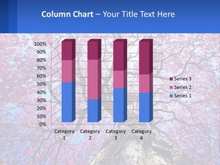A Tree With Pink Leaves Is Shown In This Powerpoint Presentation PowerPoint Template