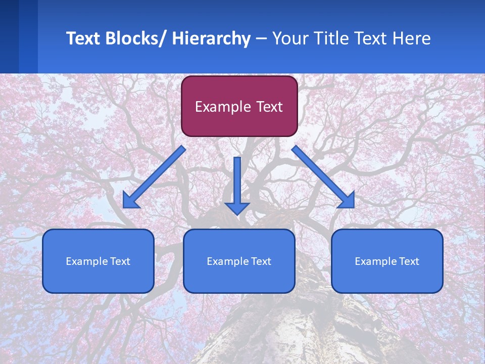 A Tree With Pink Leaves Is Shown In This Powerpoint Presentation PowerPoint Template