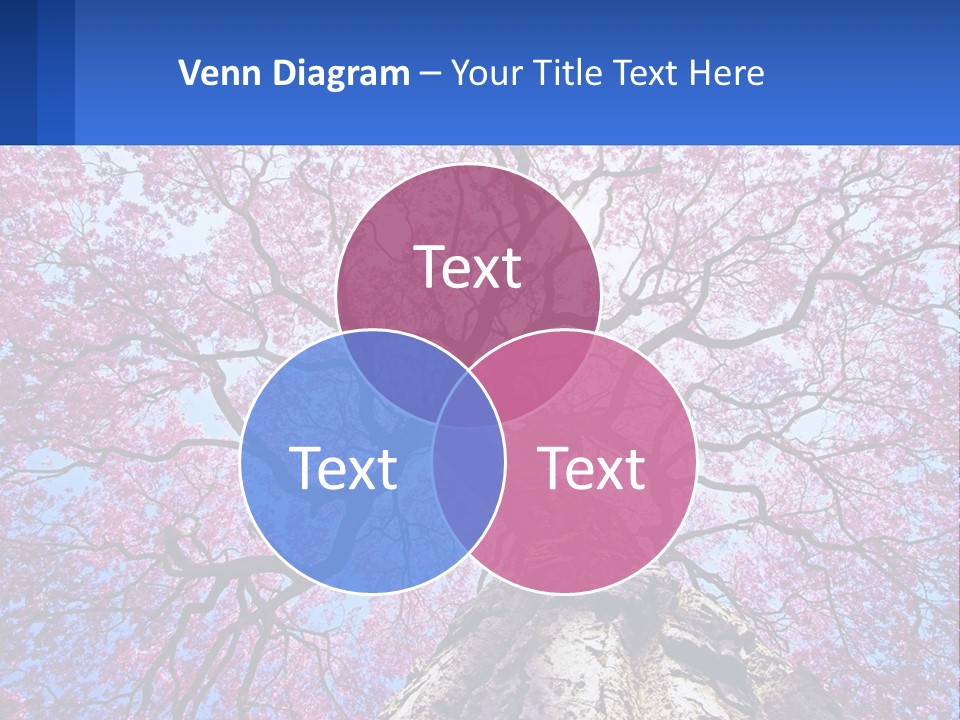 A Tree With Pink Leaves Is Shown In This Powerpoint Presentation PowerPoint Template