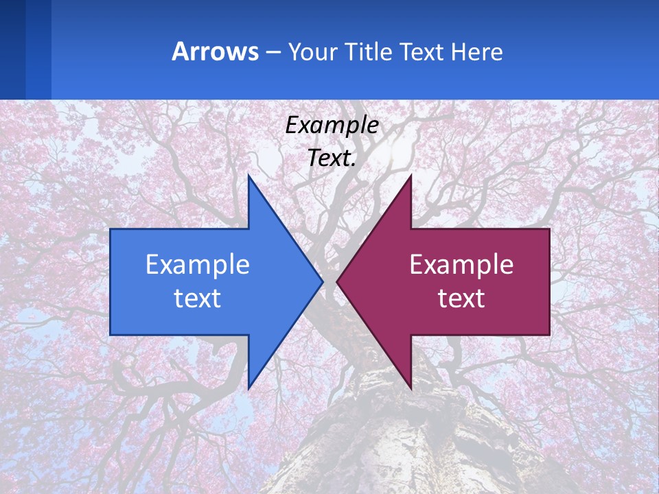 A Tree With Pink Leaves Is Shown In This Powerpoint Presentation PowerPoint Template