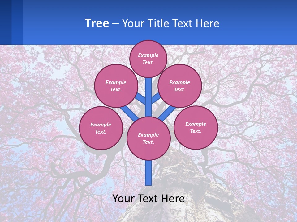 A Tree With Pink Leaves Is Shown In This Powerpoint Presentation PowerPoint Template