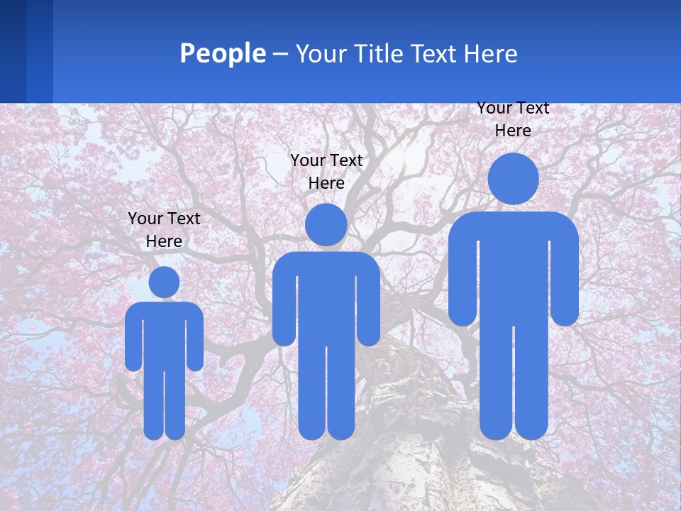 A Tree With Pink Leaves Is Shown In This Powerpoint Presentation PowerPoint Template