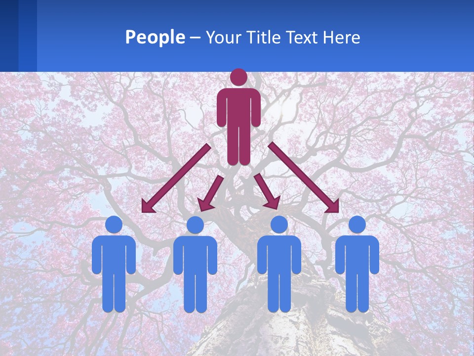 A Tree With Pink Leaves Is Shown In This Powerpoint Presentation PowerPoint Template