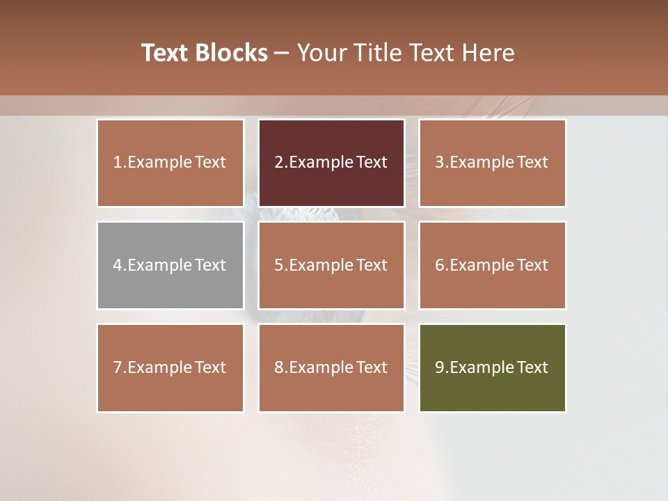 A Close Up Of A Blue Eye With A Brown Background PowerPoint Template