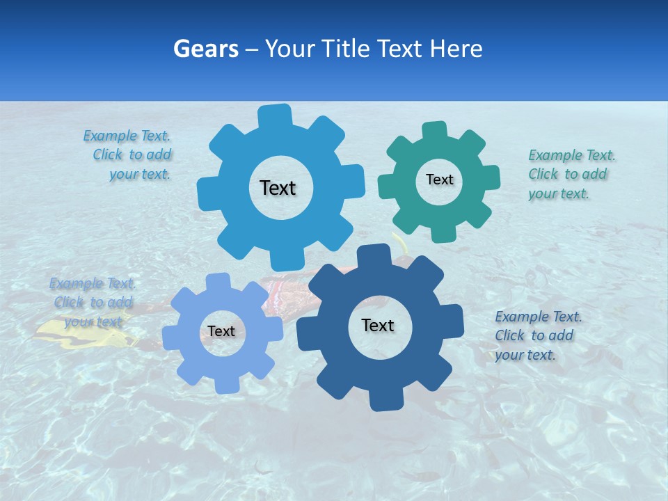 A Woman Swimming In The Ocean With A Snorkel PowerPoint Template