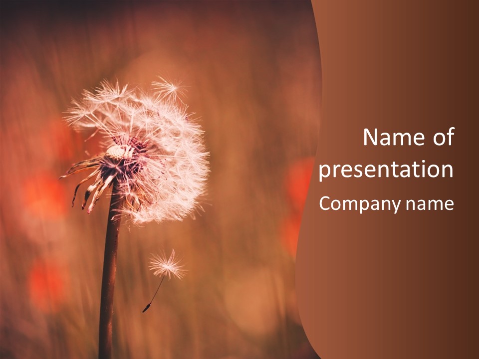A Dandelion Powerpoint Presentation Is Shown PowerPoint Template