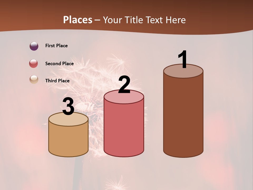 A Dandelion Powerpoint Presentation Is Shown PowerPoint Template