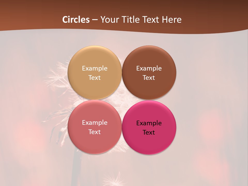 A Dandelion Powerpoint Presentation Is Shown PowerPoint Template