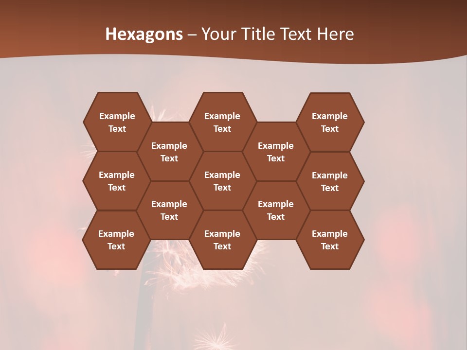 A Dandelion Powerpoint Presentation Is Shown PowerPoint Template