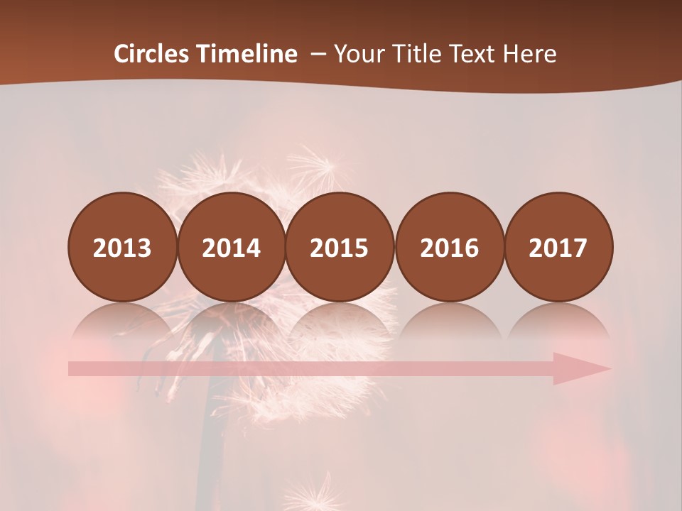 A Dandelion Powerpoint Presentation Is Shown PowerPoint Template