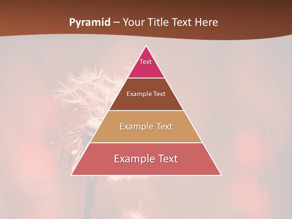 A Dandelion Powerpoint Presentation Is Shown PowerPoint Template
