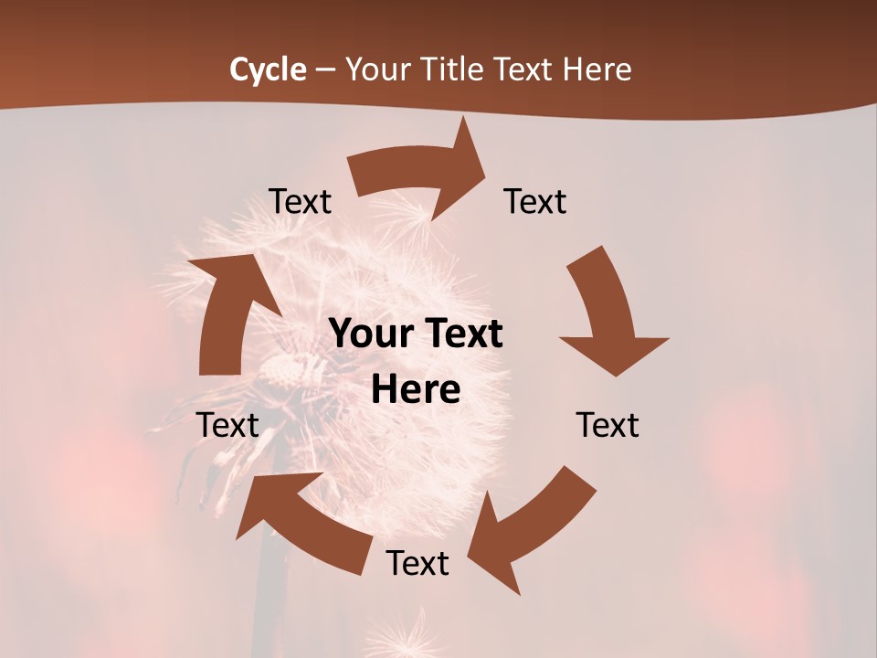 A Dandelion Powerpoint Presentation Is Shown PowerPoint Template