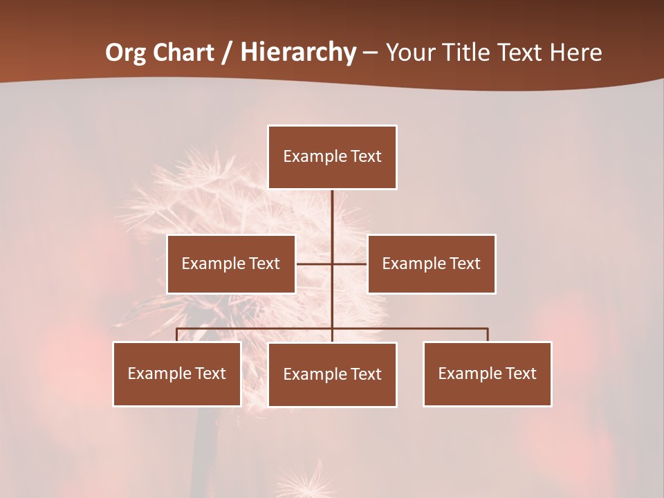 A Dandelion Powerpoint Presentation Is Shown PowerPoint Template
