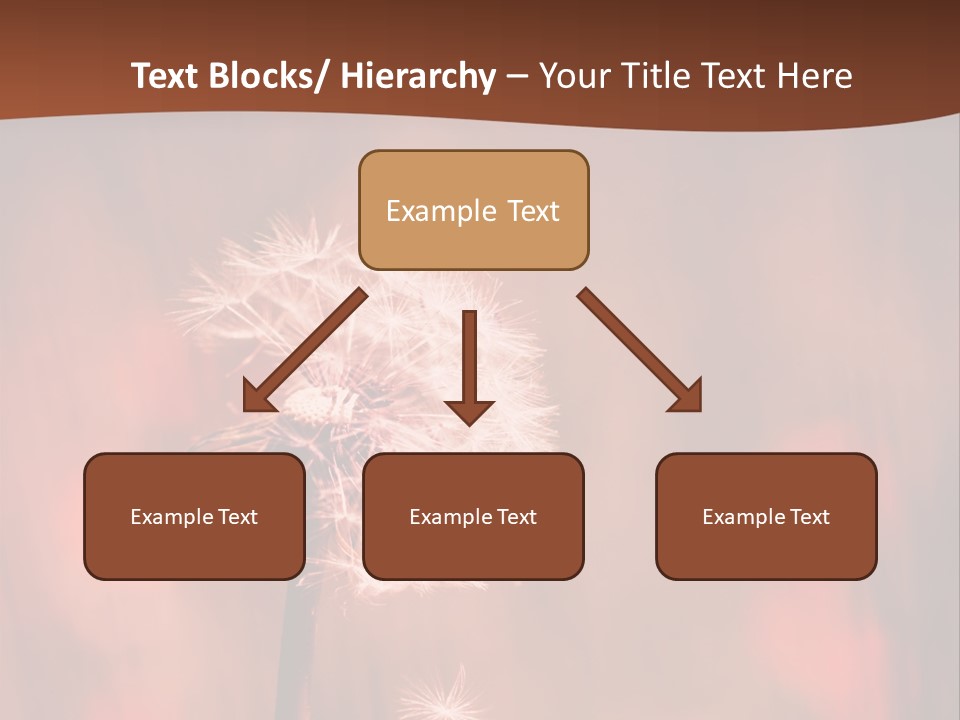 A Dandelion Powerpoint Presentation Is Shown PowerPoint Template
